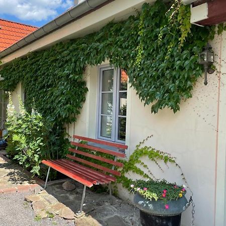 Fewo Im Kneipenviertel Altkoetzschenbroda ラーデボイル エクステリア 写真